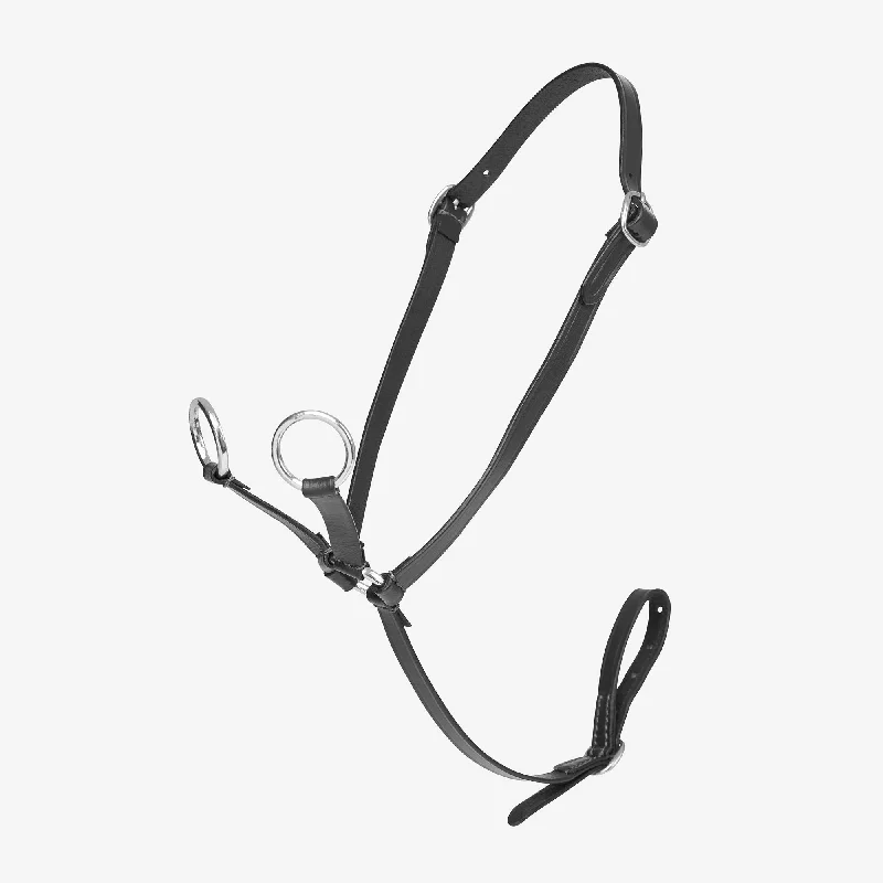 Lemieux Toy Pony Martingale - Black