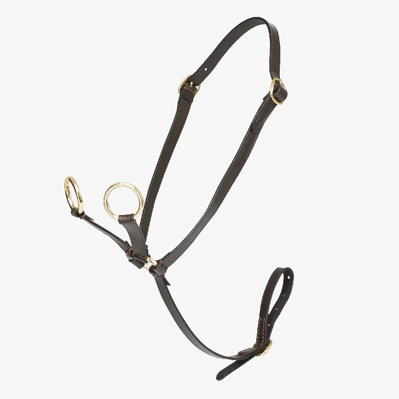 Lemieux Toy Pony Martingale - Brown