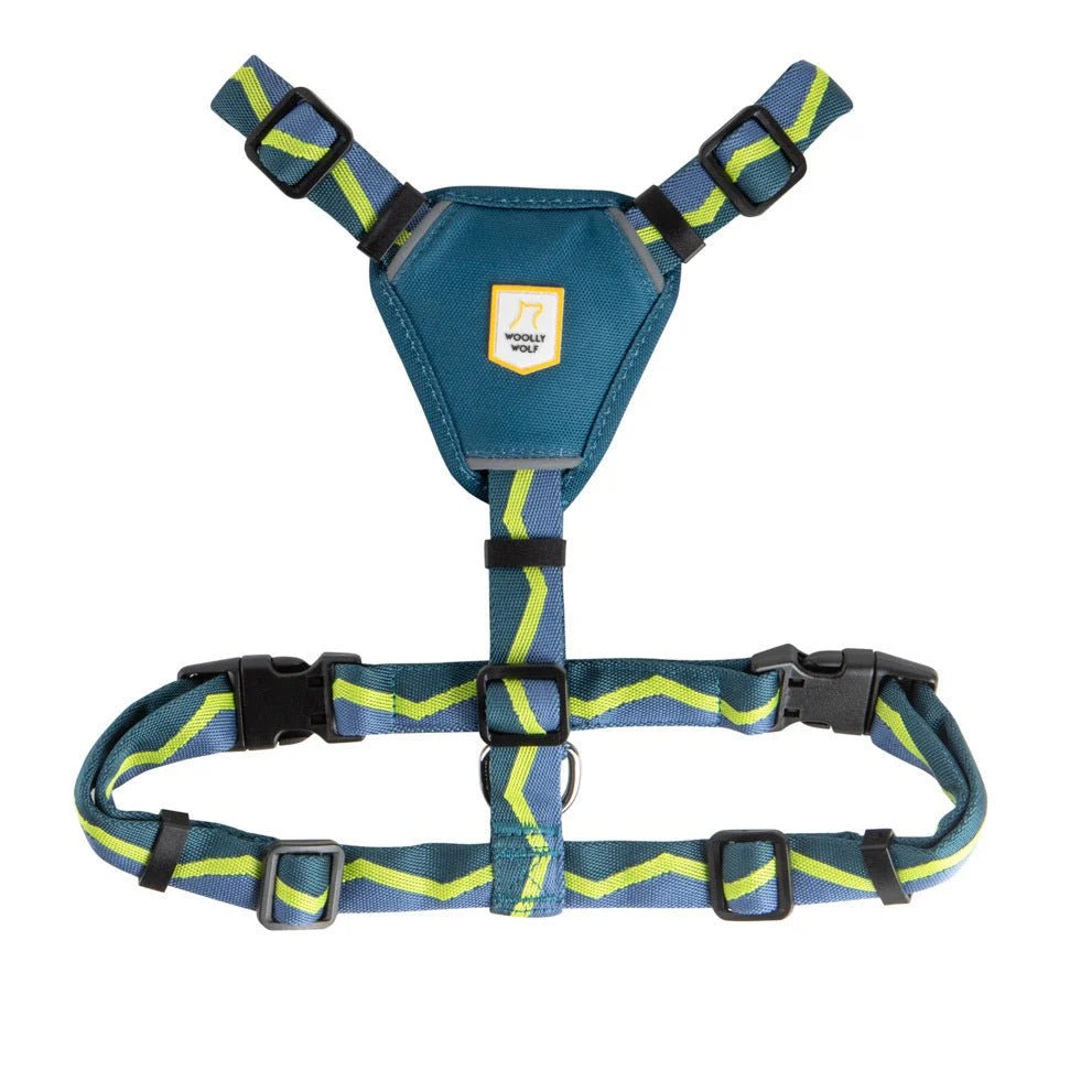 Horizon Harness