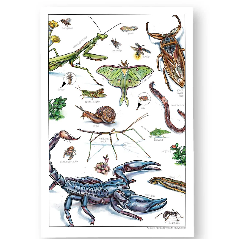 Creepy Crawlies Printed Watercolor Posters