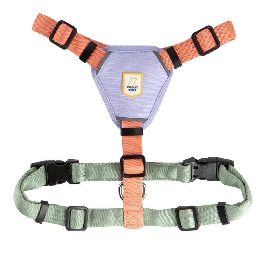 Color Block Harness