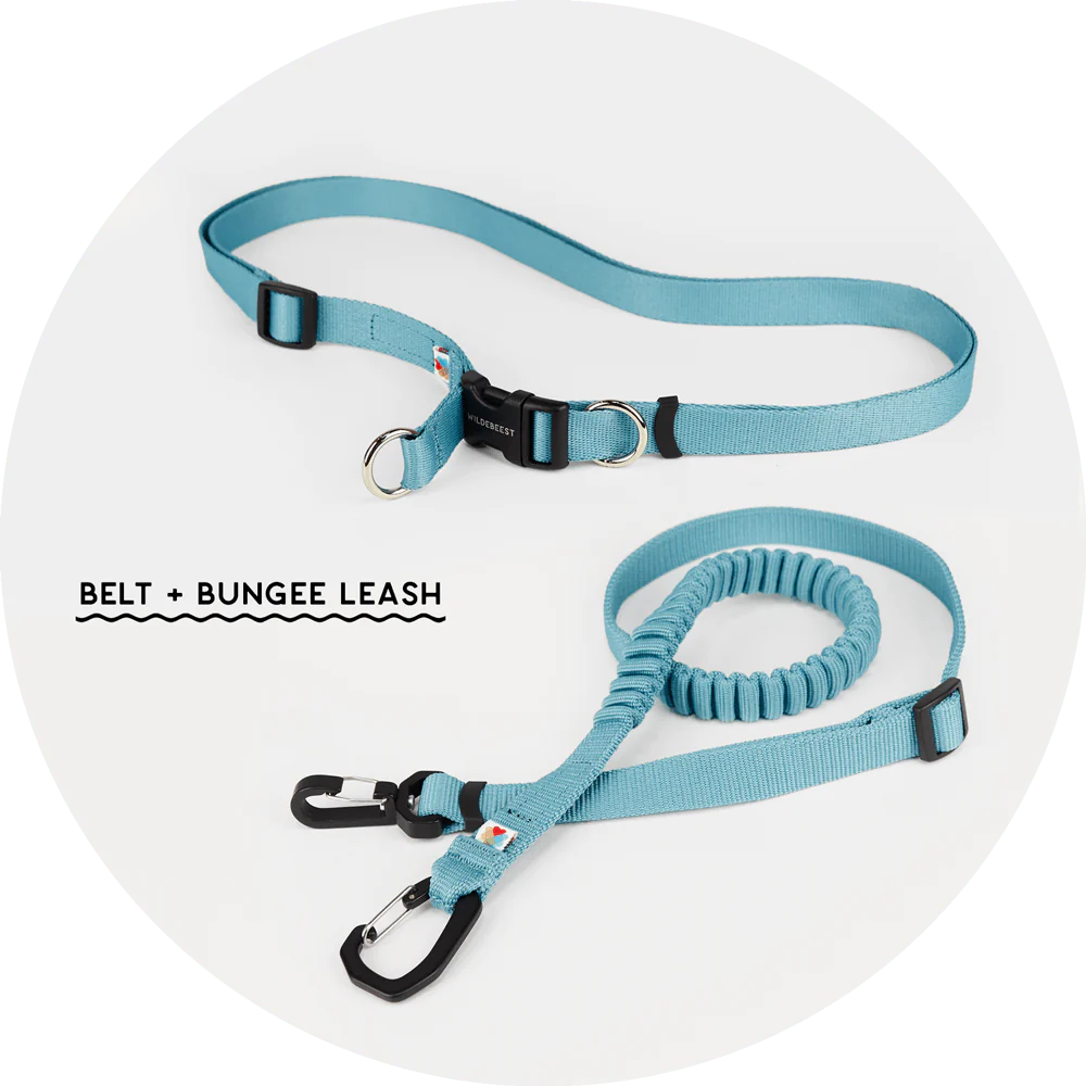 Ashbury Hands-Free System - Belt + Bungee set