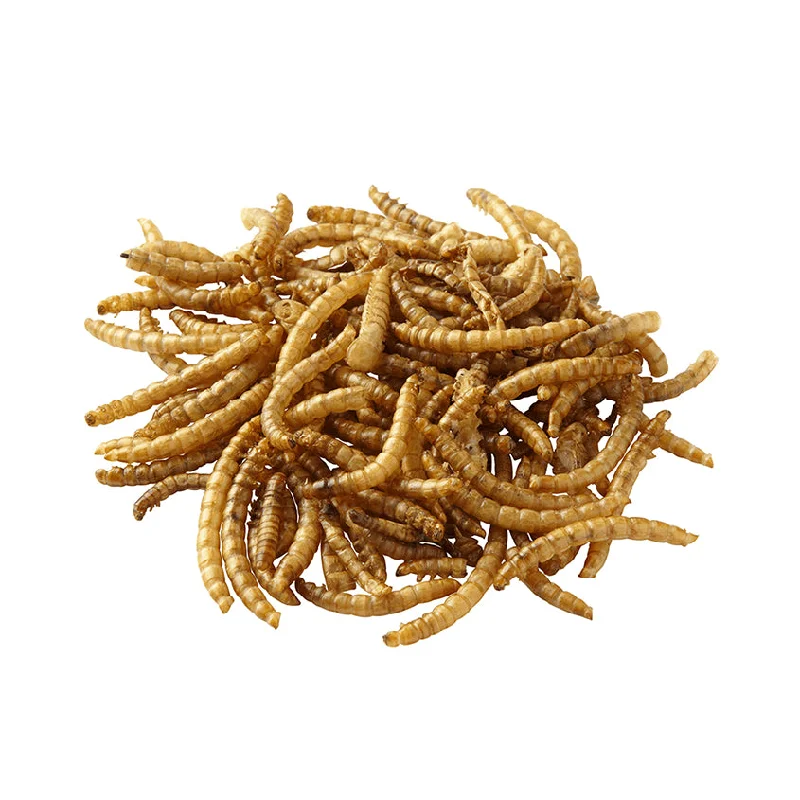 Dried Mealworms for Wild Birds