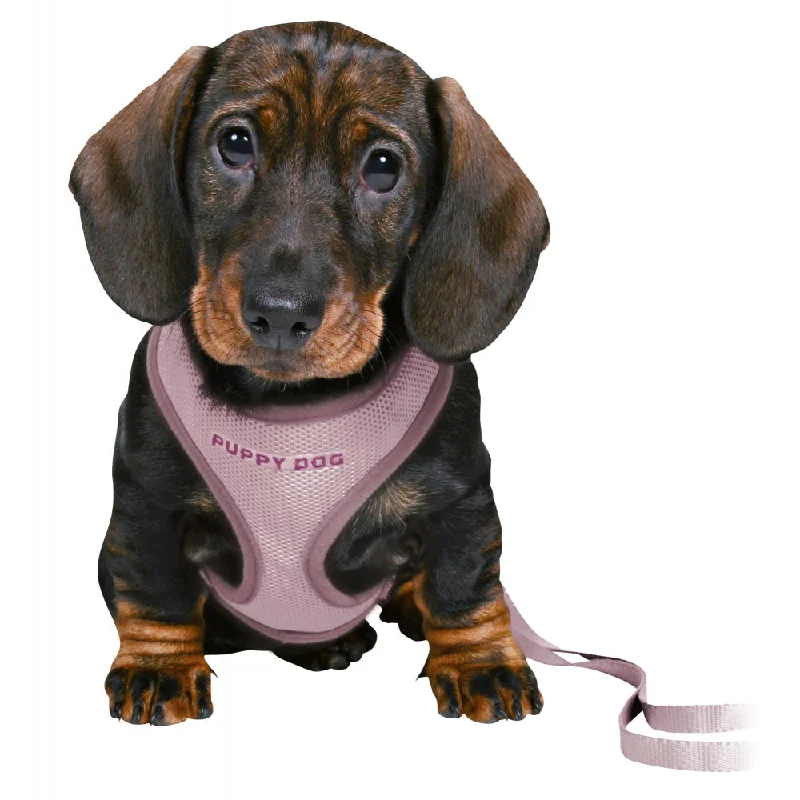 Trixie Junior Puppy Soft Harness with Lead Lilac